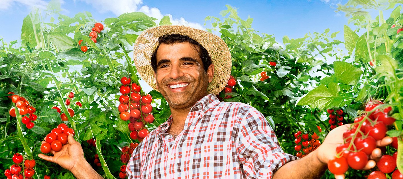 Ivo.