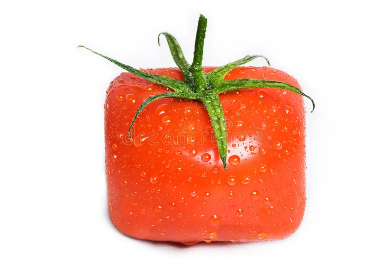 Unsere Quadratomaten.